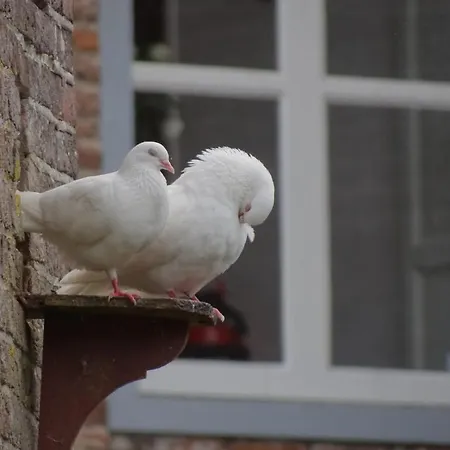 Kasteel Ophemert Tiel